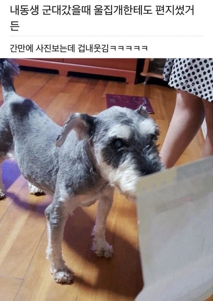 소신발언하고 자꾸 추해지는 이하늘 이미지 12
