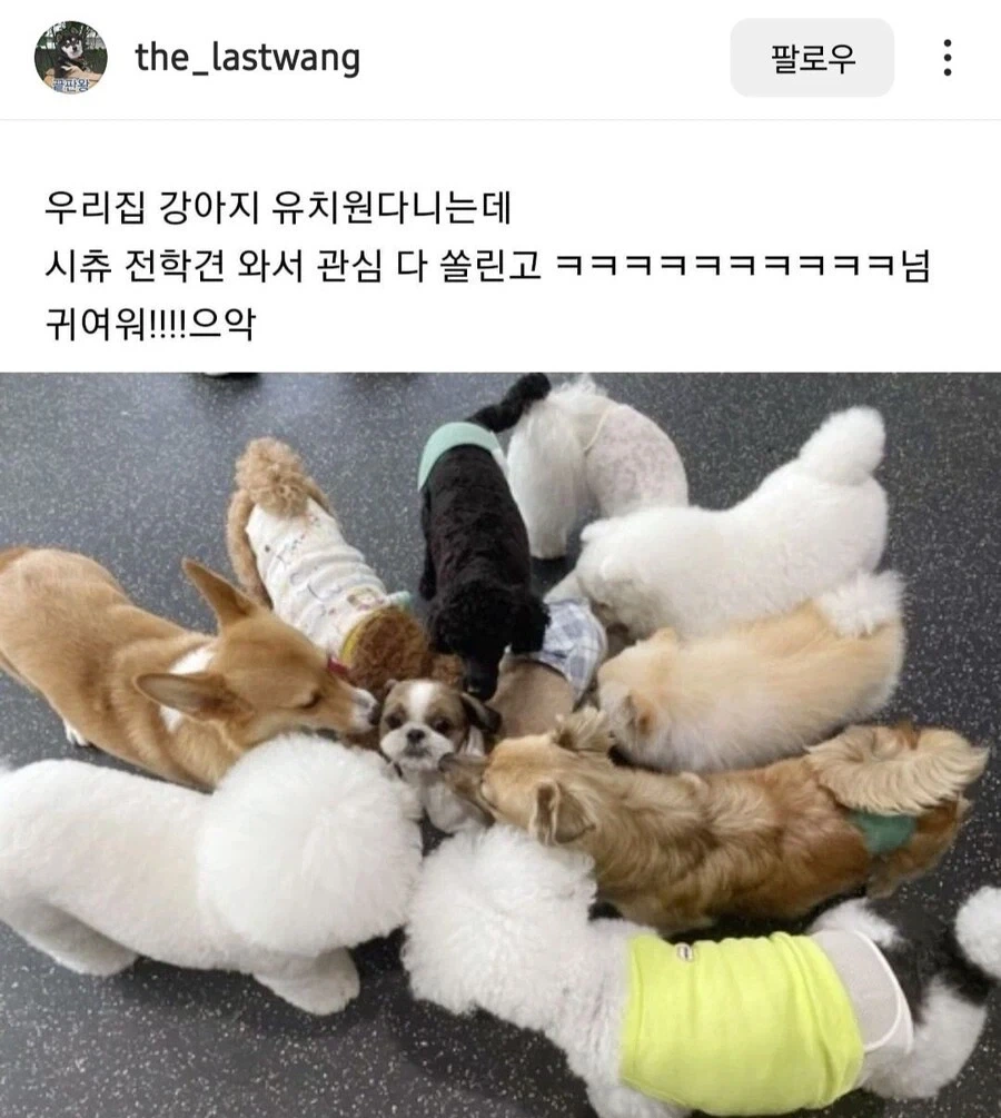 UFC) 원래 꿈이 FBI 요원이었다는 선수 이미지 3
