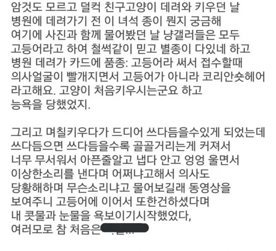 은혼) 주인공이 라노벨 주인공이 되었을 때 이미지 12