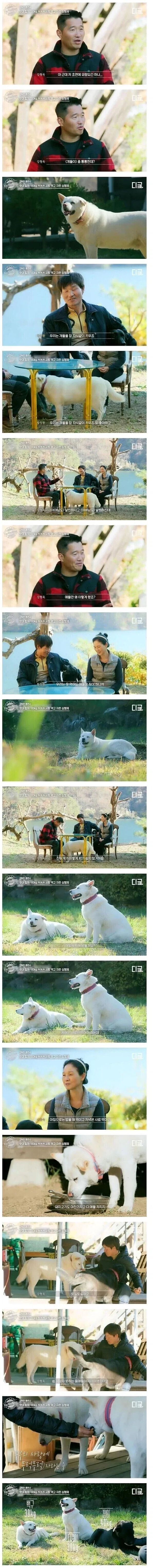 은혼) 주인공이 라노벨 주인공이 되었을 때 이미지 4