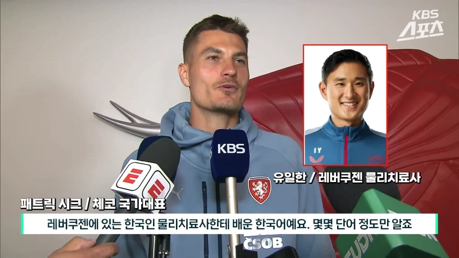 말이랑 사람 뼈구조는 많이 비슷하다고함 이미지 8
