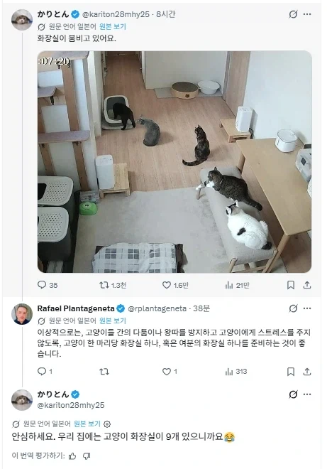 "형 있으면 수학, 누나 있으면 언어 잘한다" 이미지 16