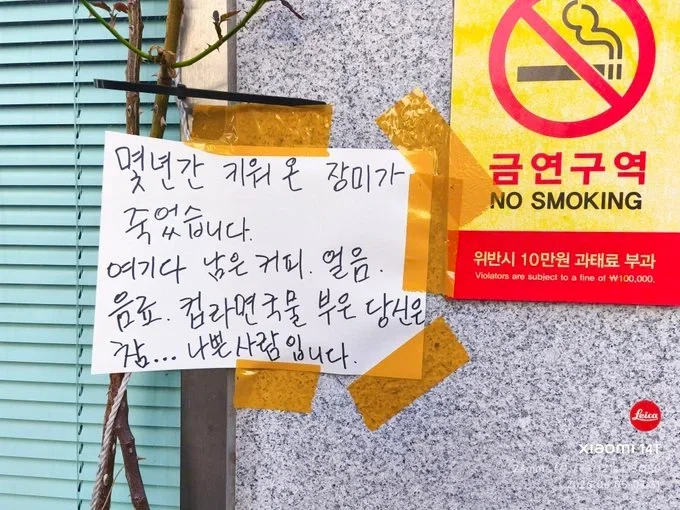참교육 보면서 이해 안되는거 대표 이미지
