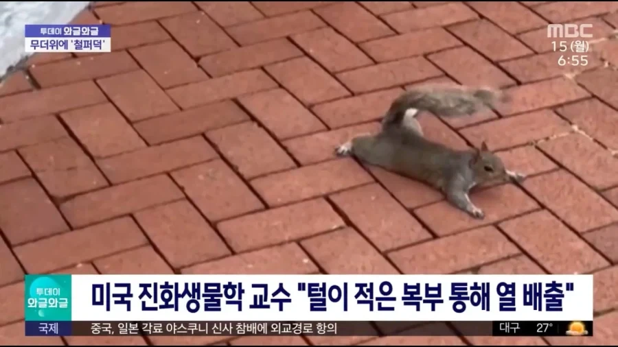 오빠는끝)마히로가 게임에서 여자라고 들키면 생기는일 대표 이미지