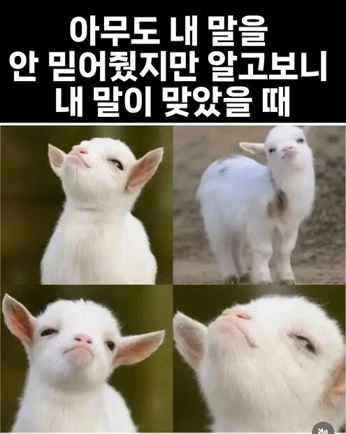 부산에서는 일상이라는 광경 이미지 2