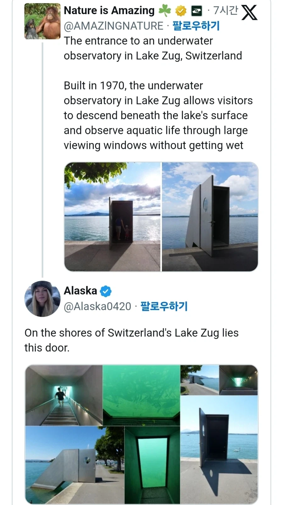 그리하여 임신조치를 2연속 당했습니다. 이미지 2