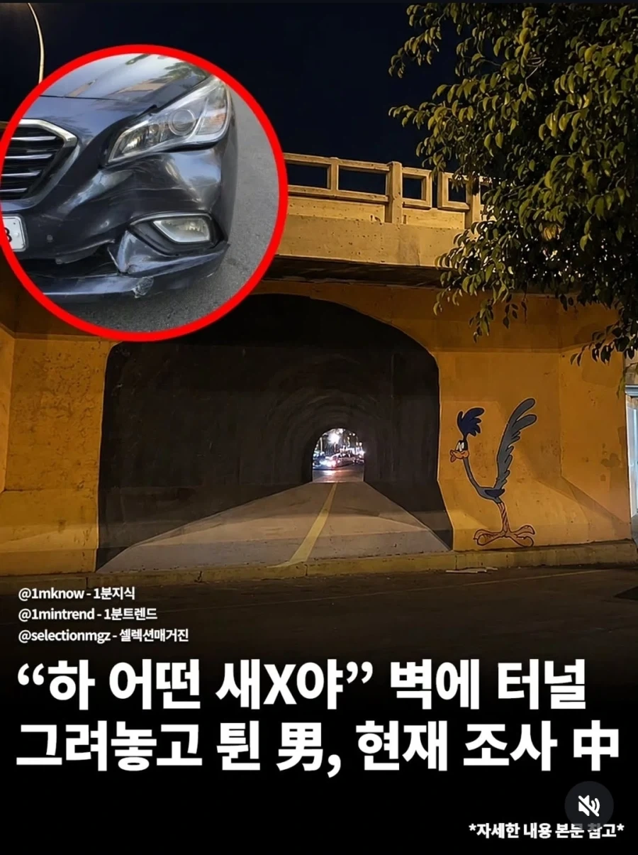 포스의 영은 실존한다 대표 이미지