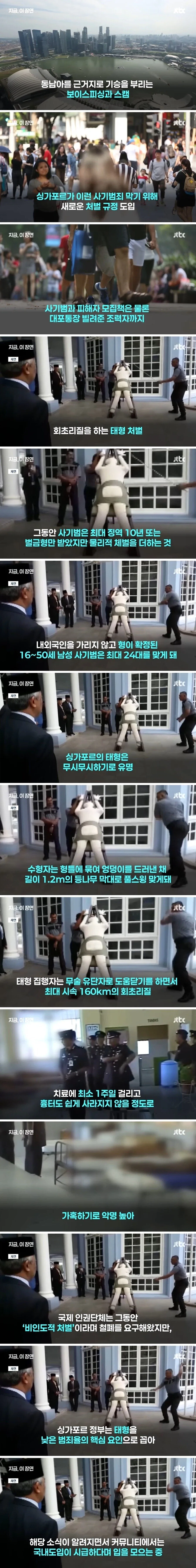 ???: 이런 얄미운 놈, 드디어 잡았다!️ 이미지 2
