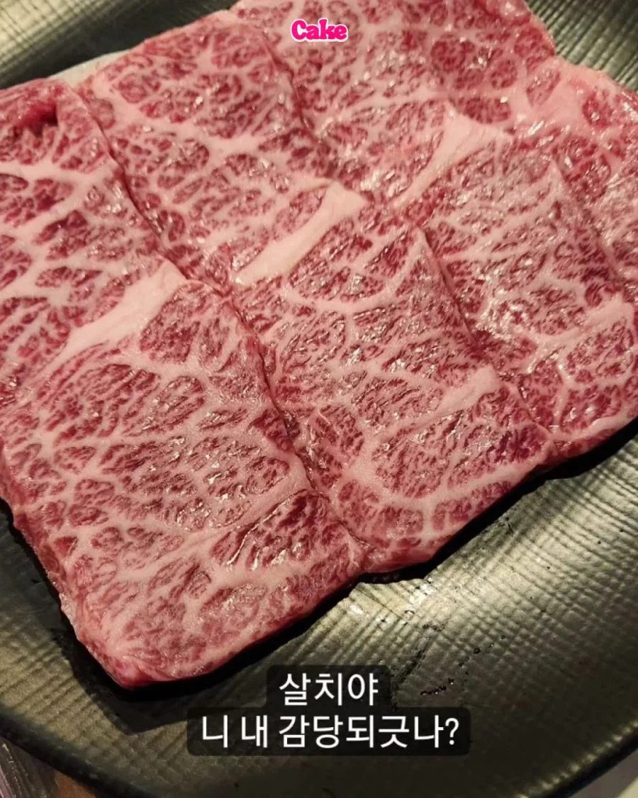 손아섭 인스타모음..._8.webp