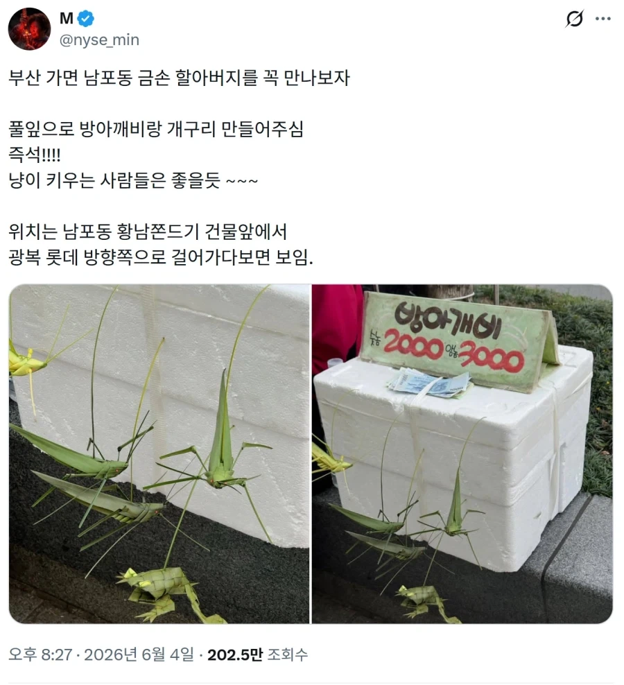 피자 대참사.jpg 이미지 7