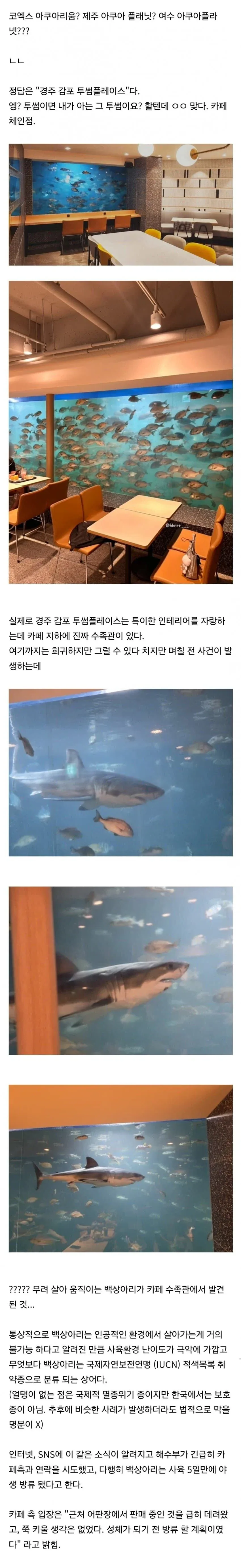 강제 쉬었음 청년 되버림 이미지 4