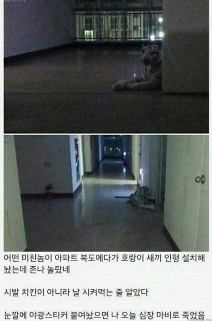 맛있는 전개 이미지 19