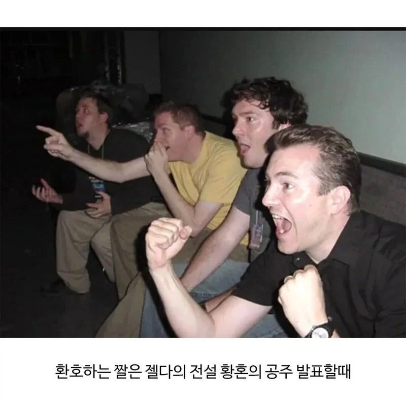 환호하는 짤의 진실_2.webp