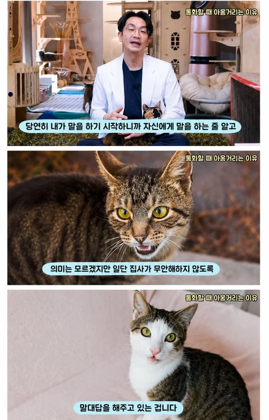 어째서 기사에 피해자 사진을 넣은거죠? 이미지 4