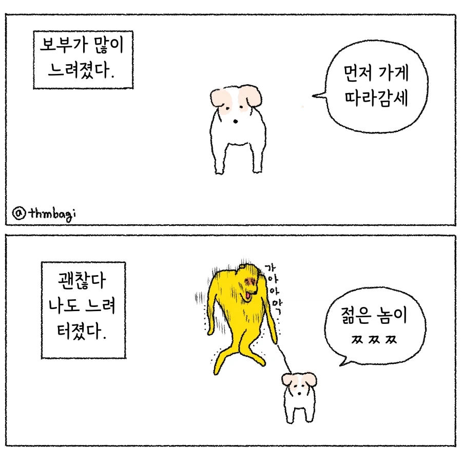 백신 접종한 쥐가 2년 후에 죽는 이유.jpg 이미지 6