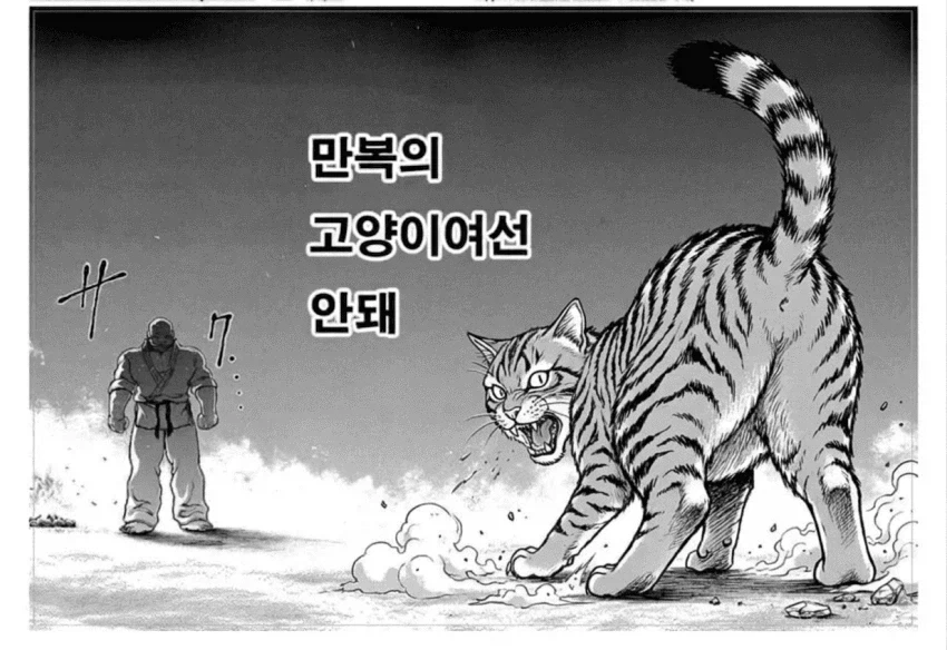 트럼프의 흥미로운 기선 제압 방법 jpg 이미지 8