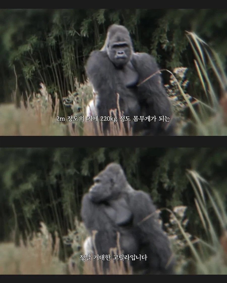 "진구야 NTR물 거장이 되겠다더니 왜 죽어가는거야!!" 이미지 5