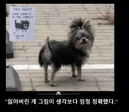 톰보이 꼴린다는 사람은 제정신이 아님 이미지 3