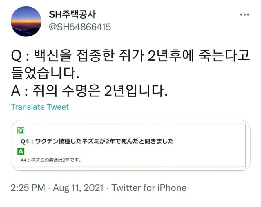 코난 그림체를 부여받은 신작 프리큐어 주인공의 변함없는 특징 이미지 2