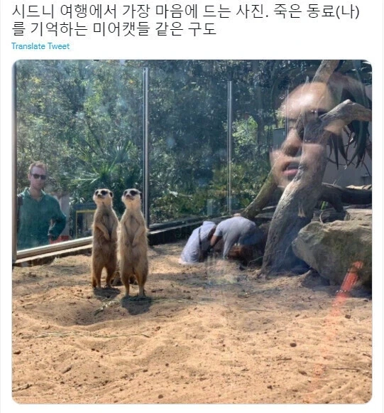 "하여튼 저 겁쟁이들은 과감함이 없다니까.." 이미지 14