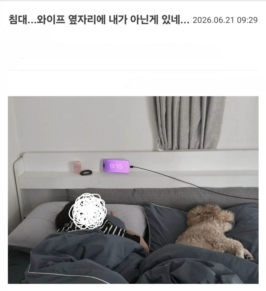 이란의 역사 요약.jpg 이미지 3