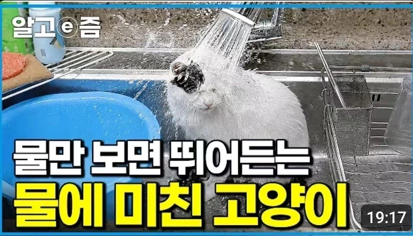 뭔 실종포스터를 이따구로 그려놓... 이미지 4