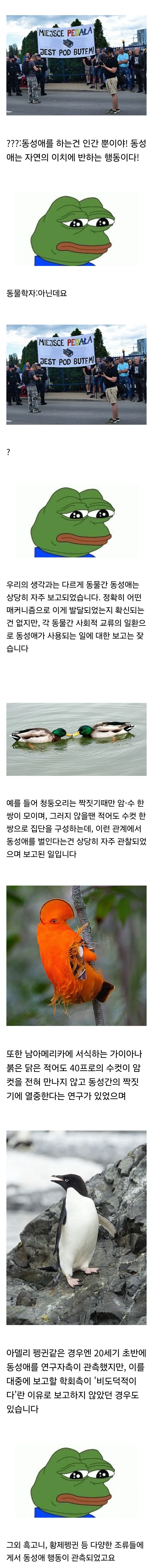중국 최정예 대표 이미지