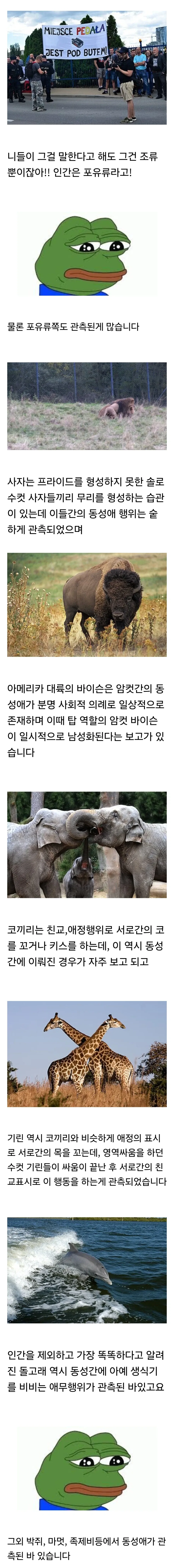 ???:동성애는 자연의 섭리에 반하는 행위다!_2.webp