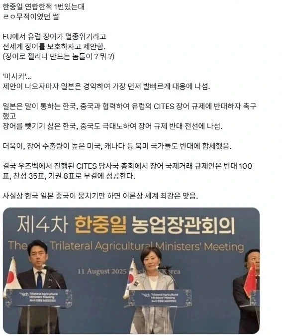 의외로 포켓몬 떡인지가 아닌거.jpg 이미지 7