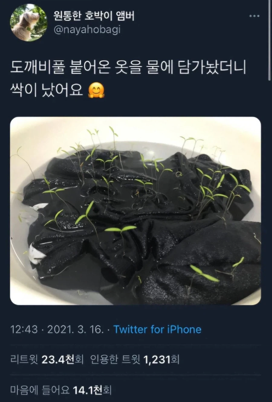 남편이 성폭행당했다고 의심하는 아내.jpg 이미지 5