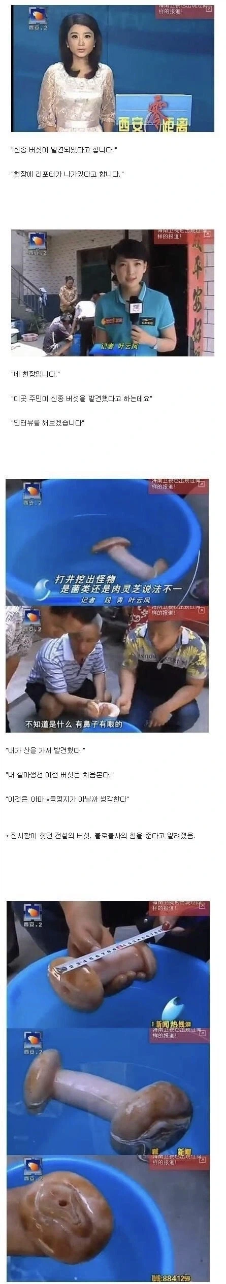 남편이 성폭행당했다고 의심하는 아내.jpg 이미지 2