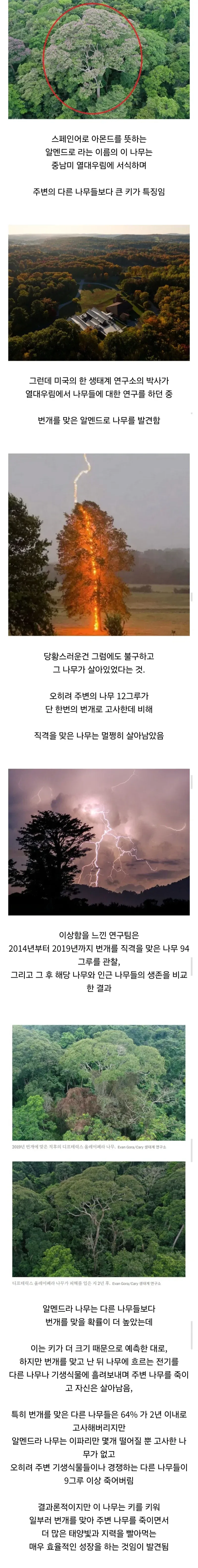 지금 나오면 미친짓 소리들을 기획 이미지 3