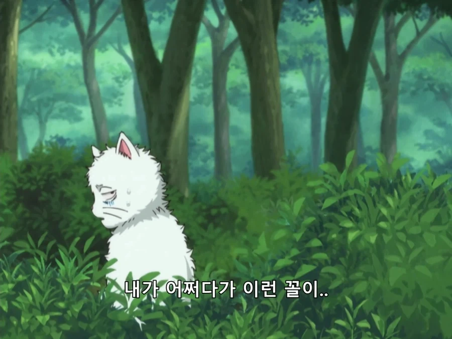 은혼) 메인 스토리에 1도 관련 없는 놈_2.webp