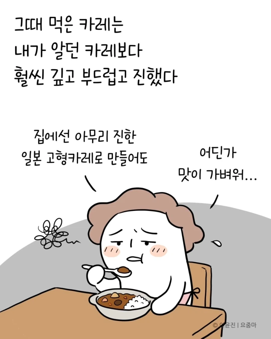 일본 유학시절 먹었던 카레맛을 재현한 분.jpg_4.webp