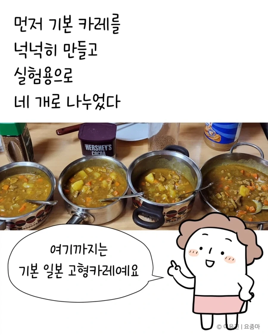 일본 유학시절 먹었던 카레맛을 재현한 분.jpg_8.webp
