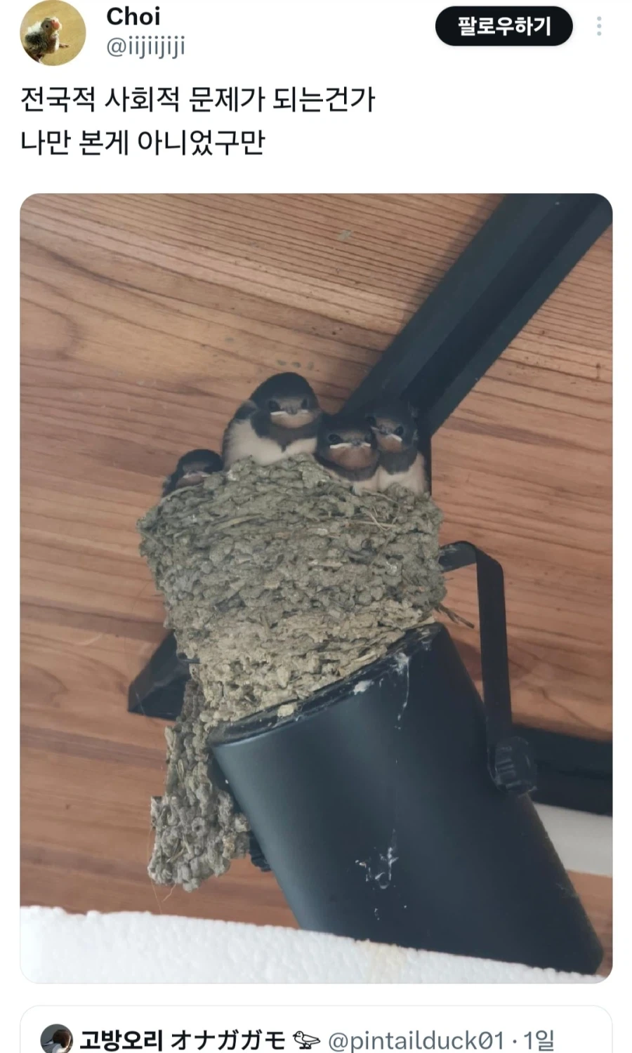 "독립하기 싫어요"...캥거루족 사회문제로 이미지 2