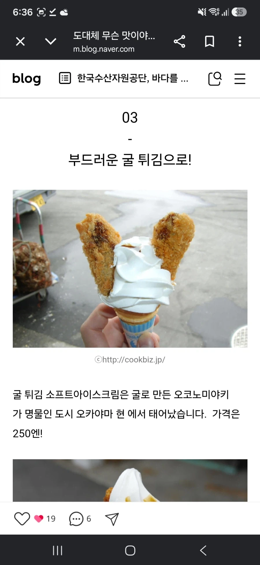 일본 특이한 아이스크림 모음_5.webp