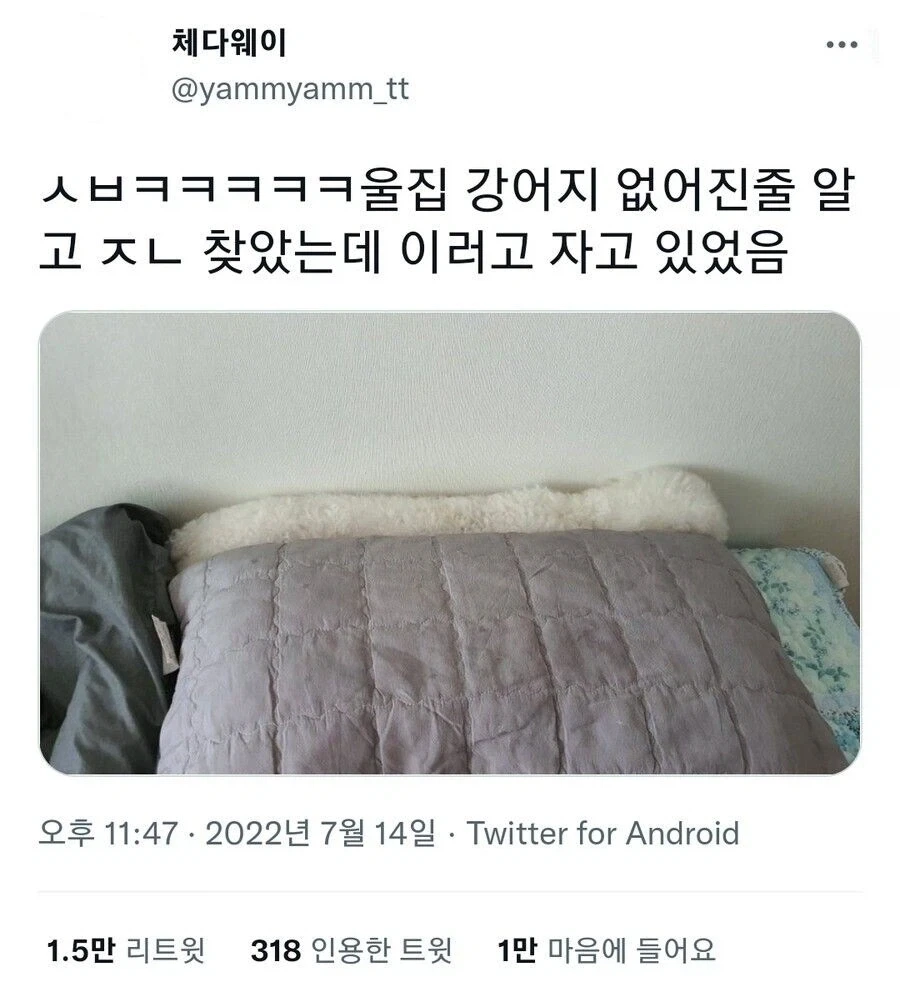 "나 다 컸다고! 이제 혼자 살거라고!" / "넌 아직 애기야." 이미지 2