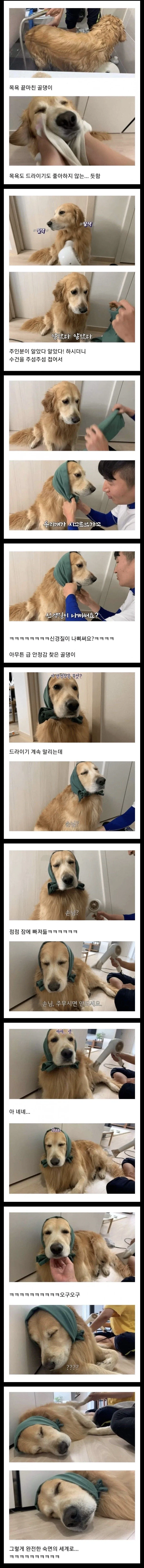톱배우 누나를 둔 전신마비 동생이 선택한 삶 이미지 2