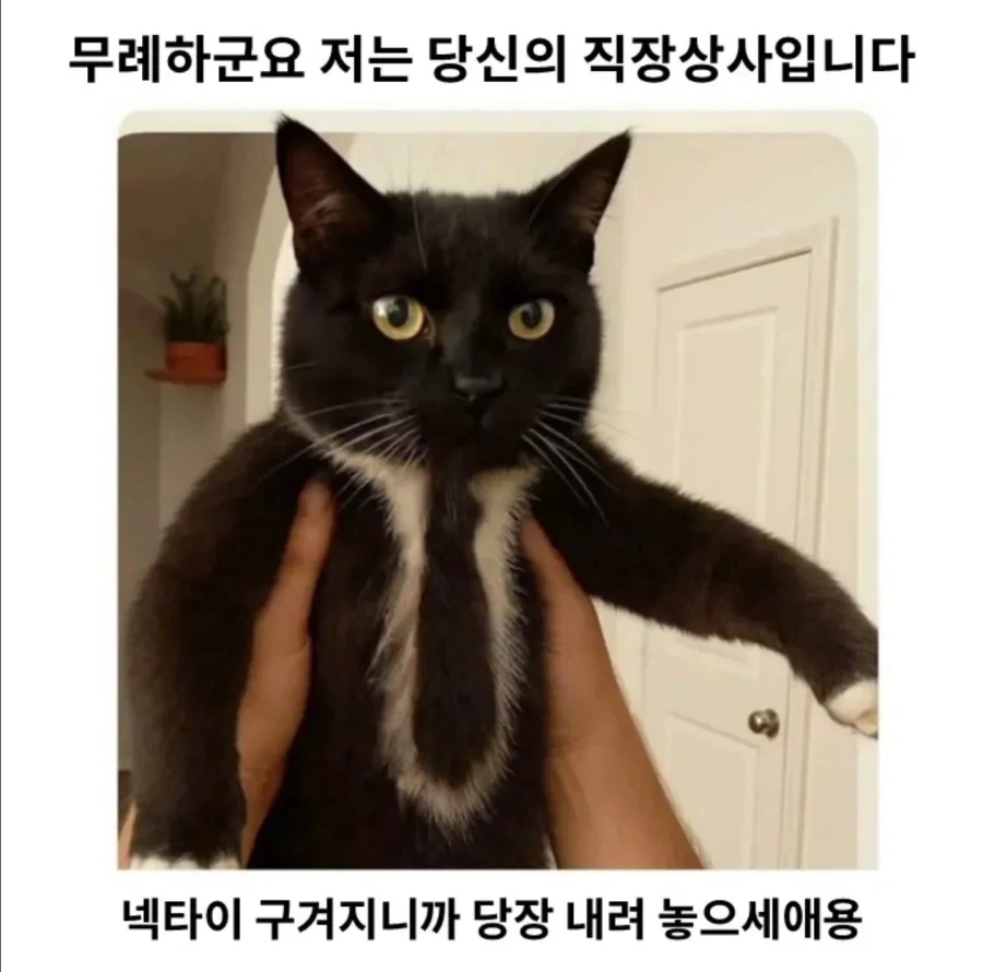 톱배우 누나를 둔 전신마비 동생이 선택한 삶 대표 이미지