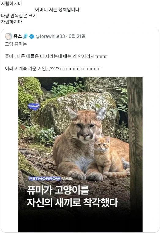 왜 야짤 안올라가냐 자꾸 이거뜸.jpe 대표 이미지