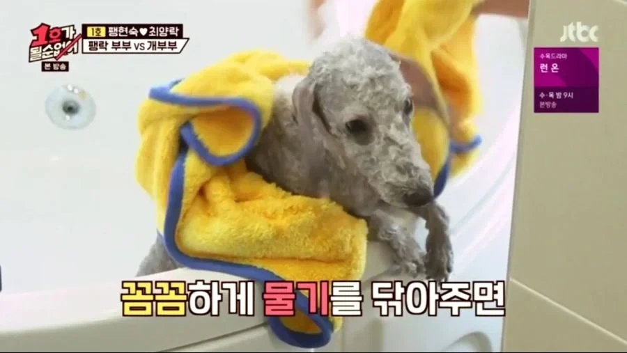 패드립을 함부로 치면 안되는 이유 이미지 8