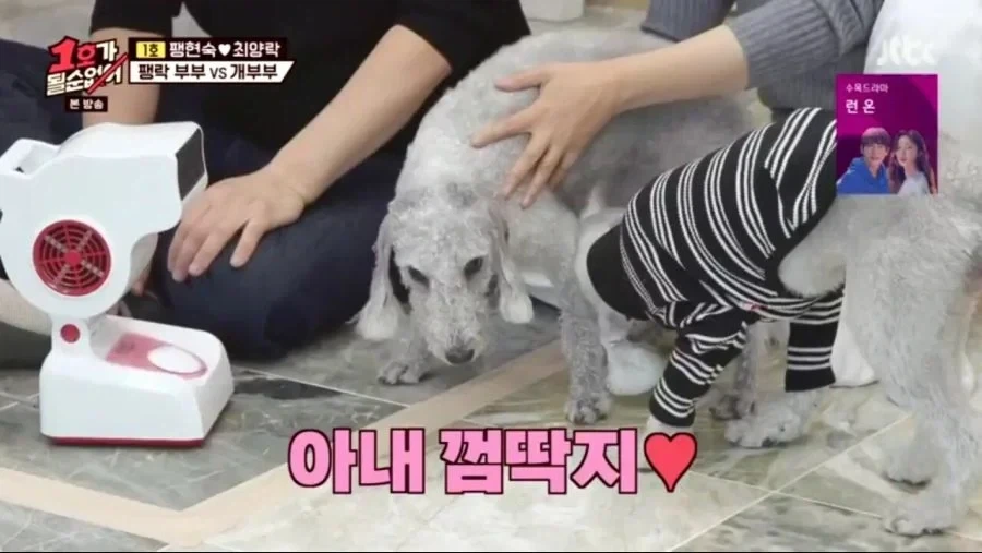 각본으로 절대 못나오는 장면_4.webp