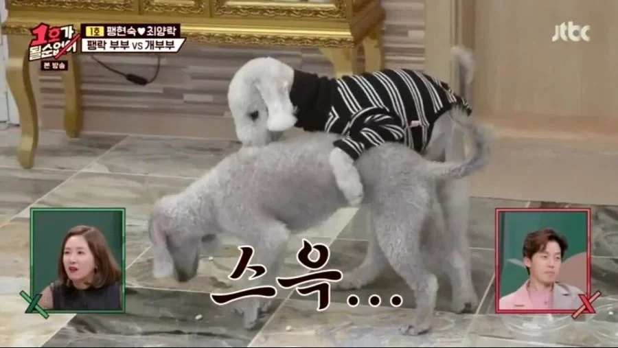 각본으로 절대 못나오는 장면_14.webp