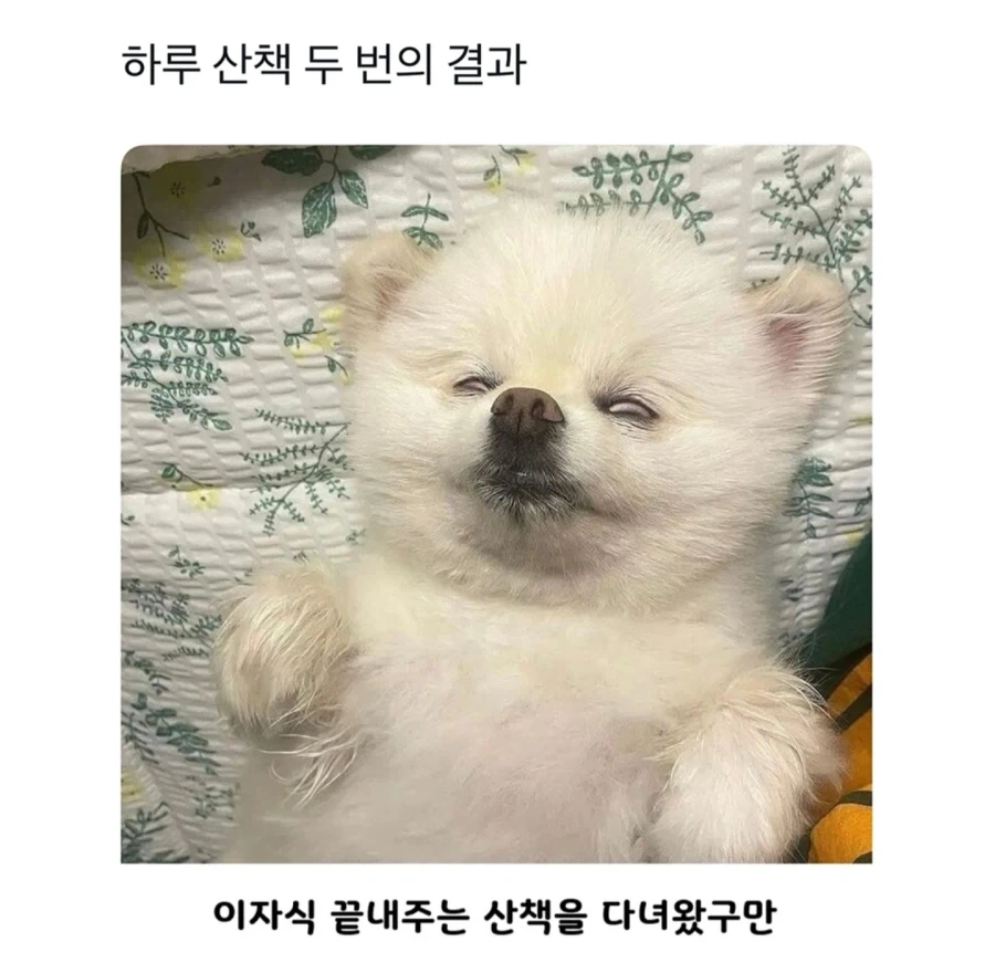 늑구야! 왜 탈출 했던거야 이미지 8