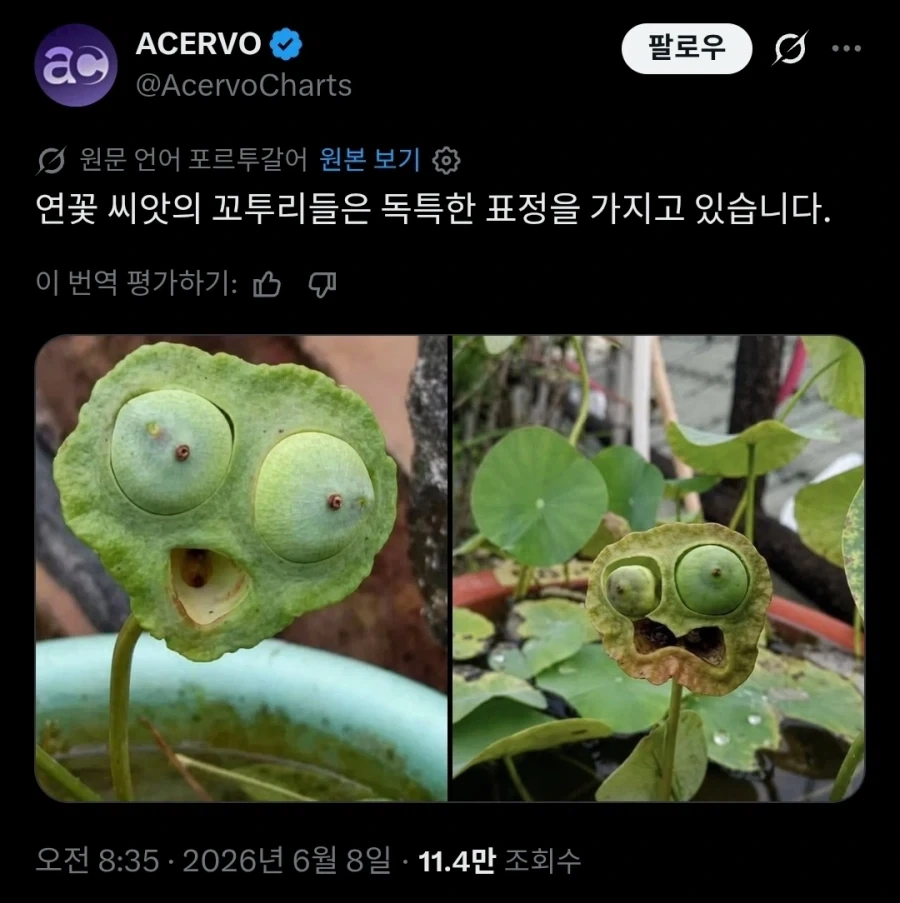 메가스터디가 개빡치는 이유 이미지 3