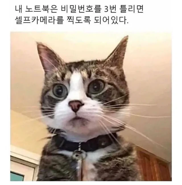 "진구야 그래서 TS물 주인공을 어떻게 한다고?" 이미지 18
