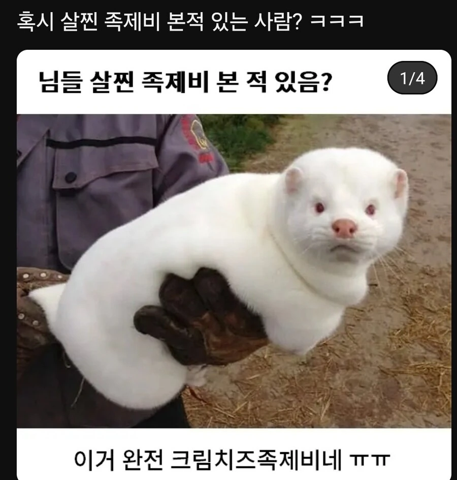 로마시대 세계 종말 괴담 이미지 6
