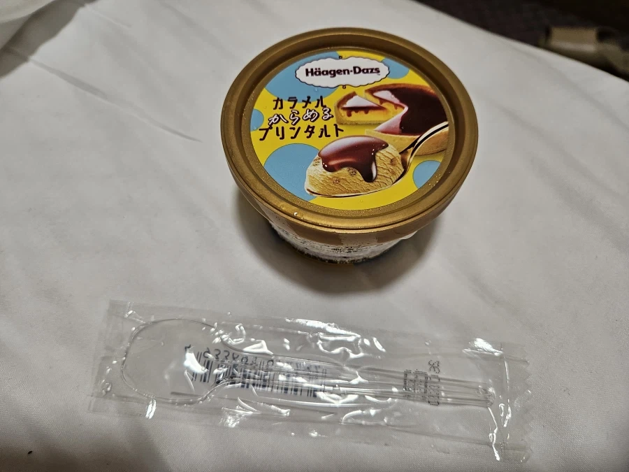 "도라에몽, 분명 TS 3P 표지였단 말이야" 이미지 5