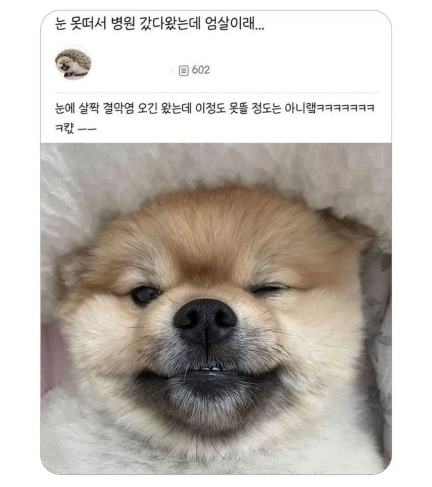 1/3크기 피규어의 최고 단점 이미지 14